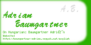 adrian baumgartner business card